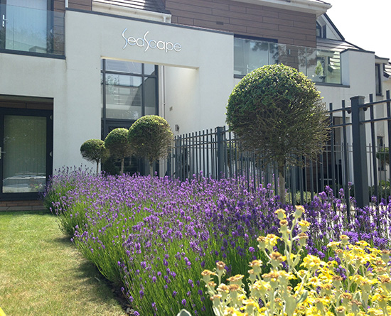 Jackson Developments - Seascape